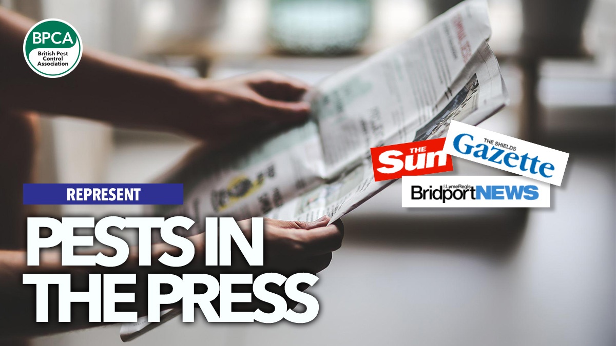 pestsinthepress pestsinthepress